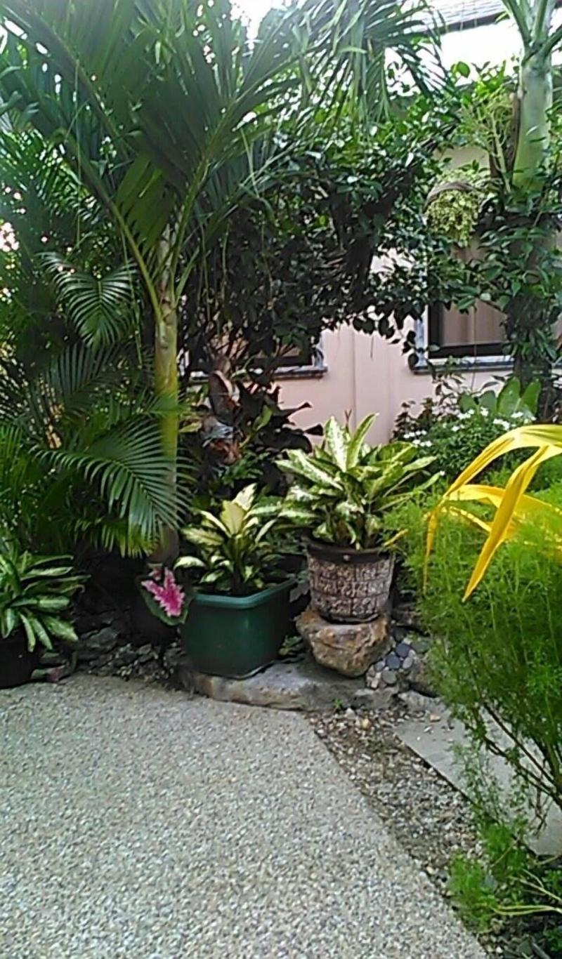 Ucoy Beach Resort image