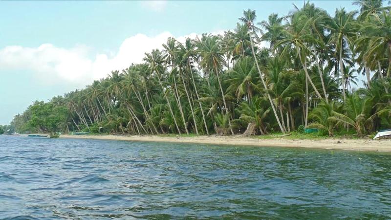 Ucoy Beach Resort image