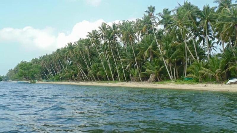 Ucoy Beach Resort image