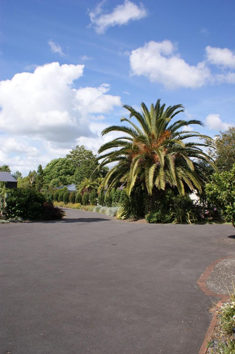 73 Milton image