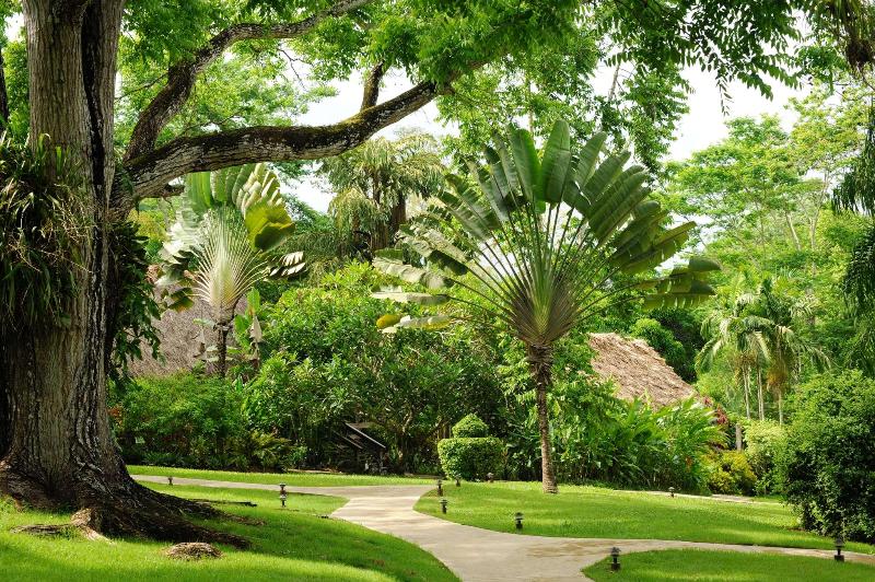 The Lodge At Chaa Creek image