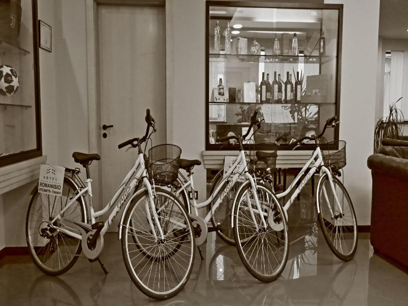 Hotel Romanisio image