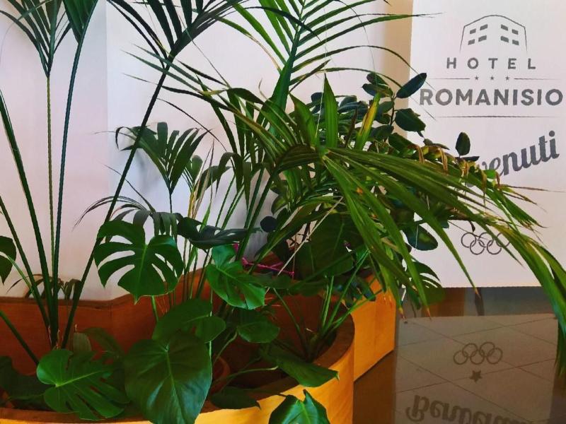 Hotel Romanisio image