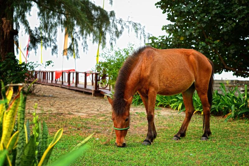 Nataya Roundhouse Coral Bay Resort And Spa image
