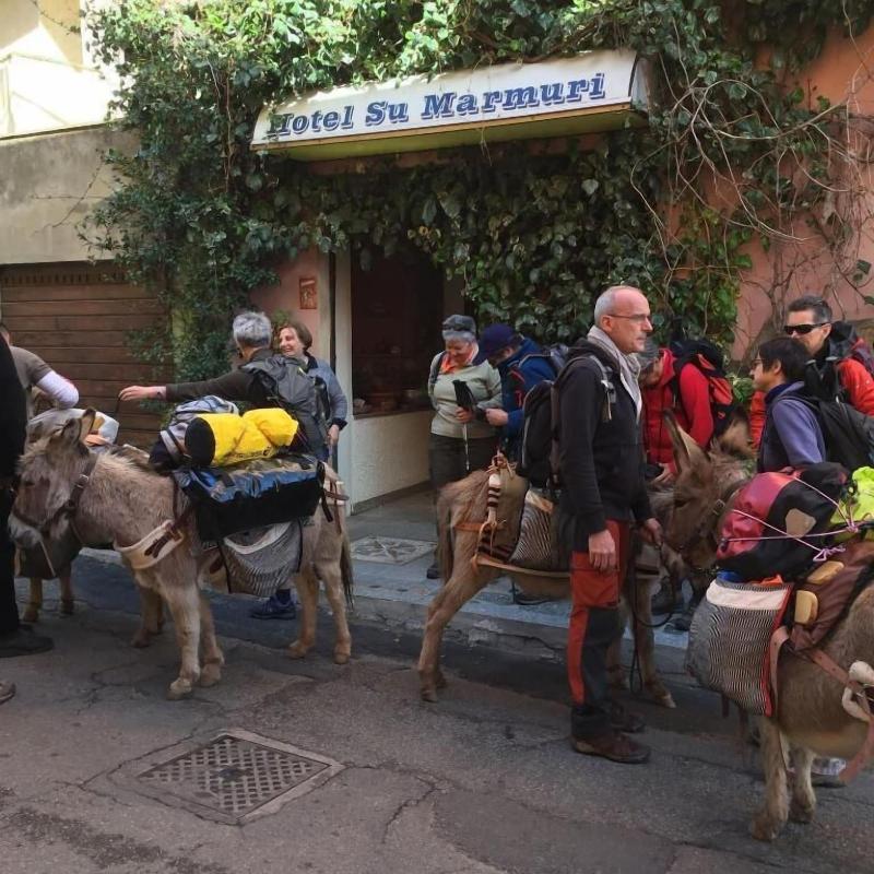Su Marmuri image
