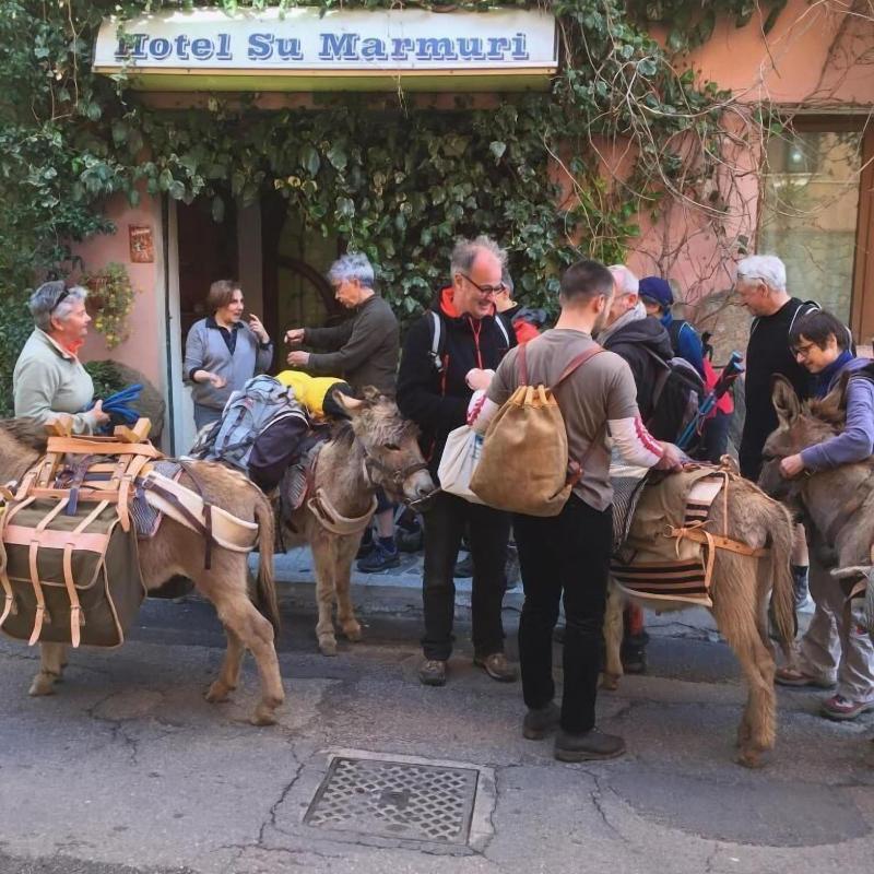 Su Marmuri image