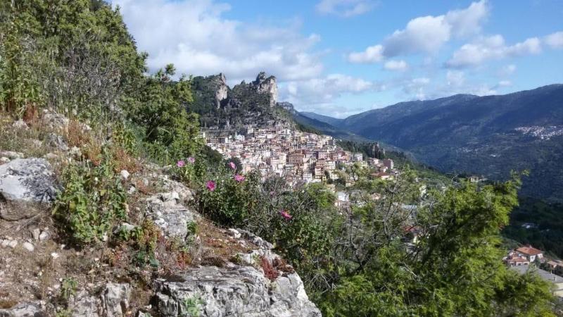 Su Marmuri image