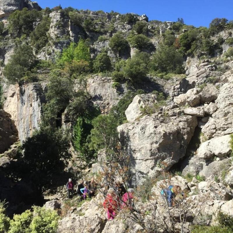Su Marmuri image