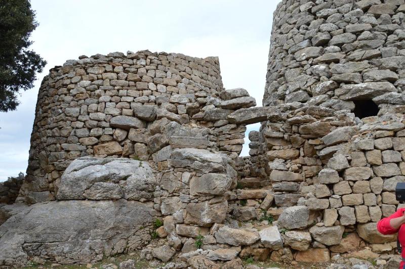 Su Marmuri image