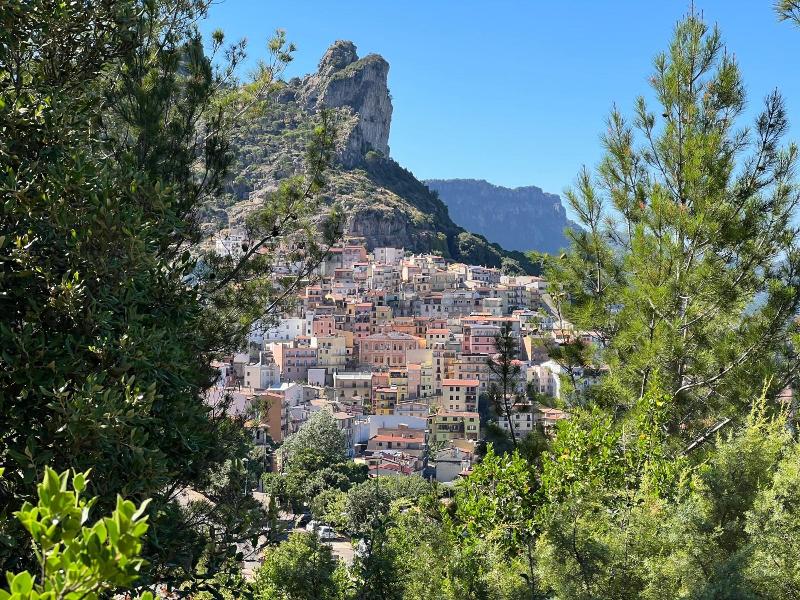 Su Marmuri image