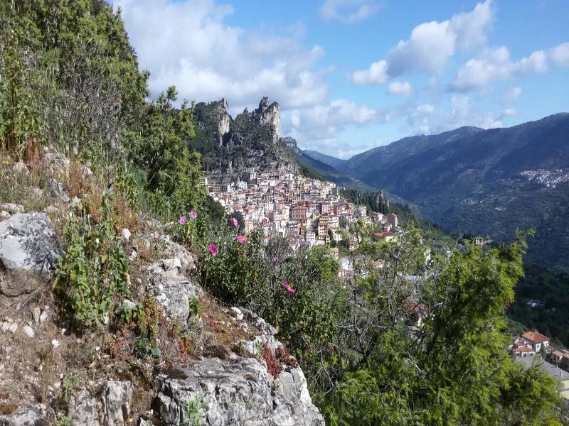 Su Marmuri image
