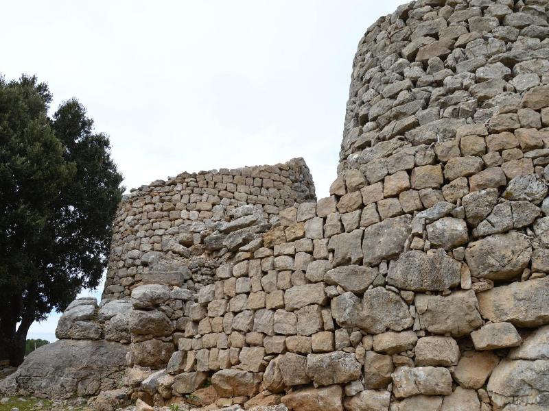 Su Marmuri image