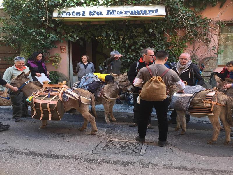Su Marmuri image