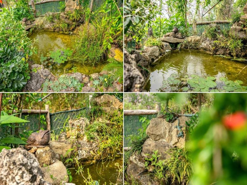 Country House Villa Nigro image