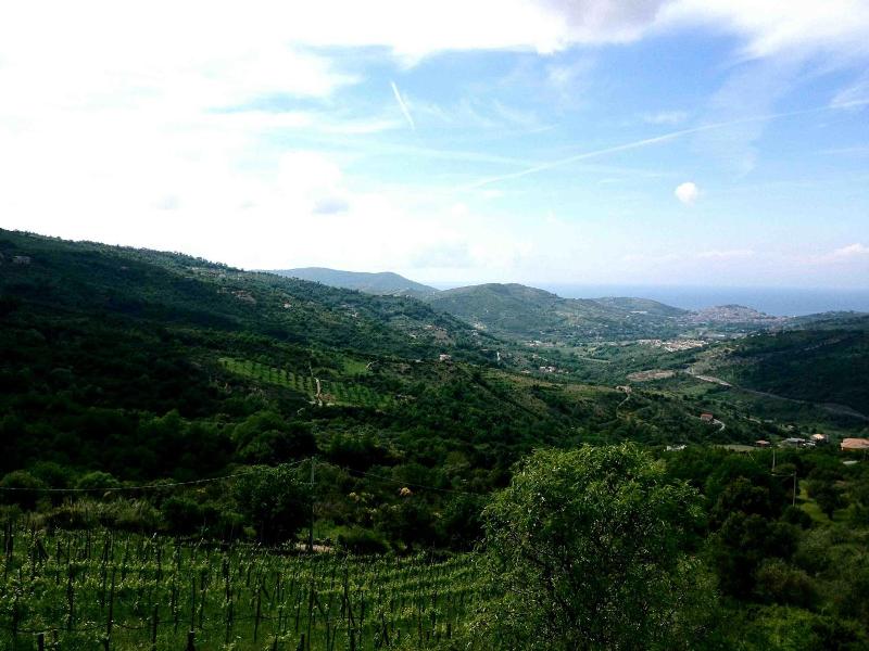 Country House Villa Nigro image