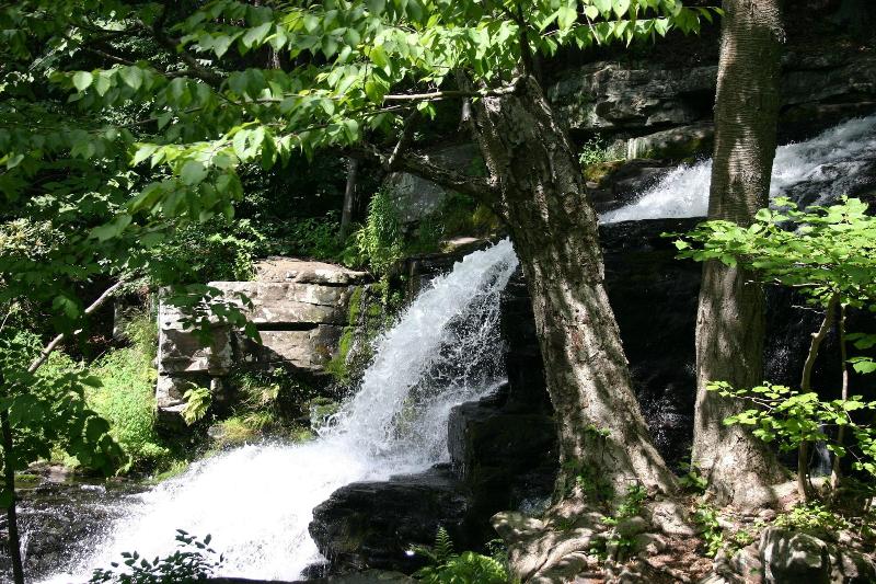 Skytop Lodge image