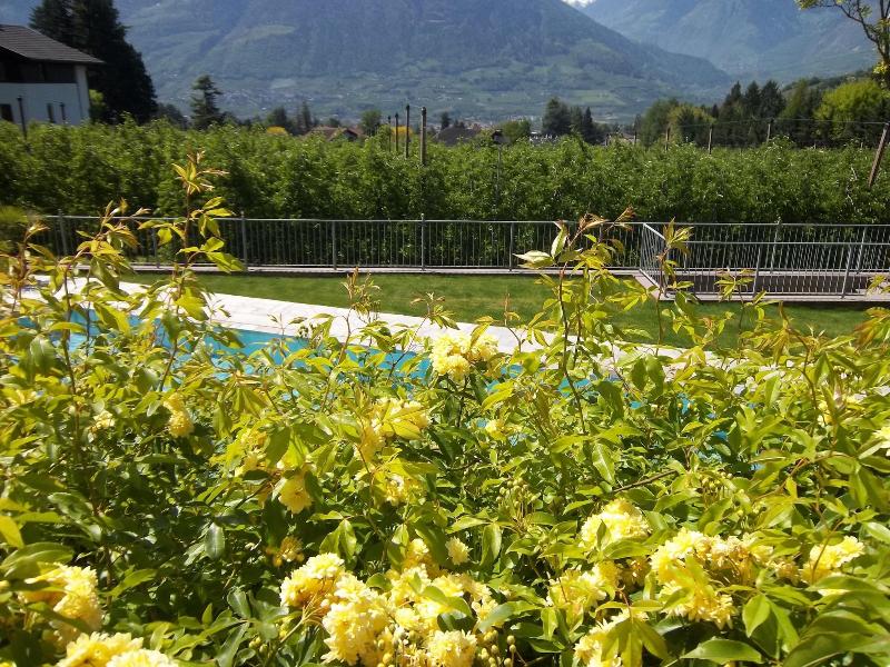Hotel Pension Verdorfer image