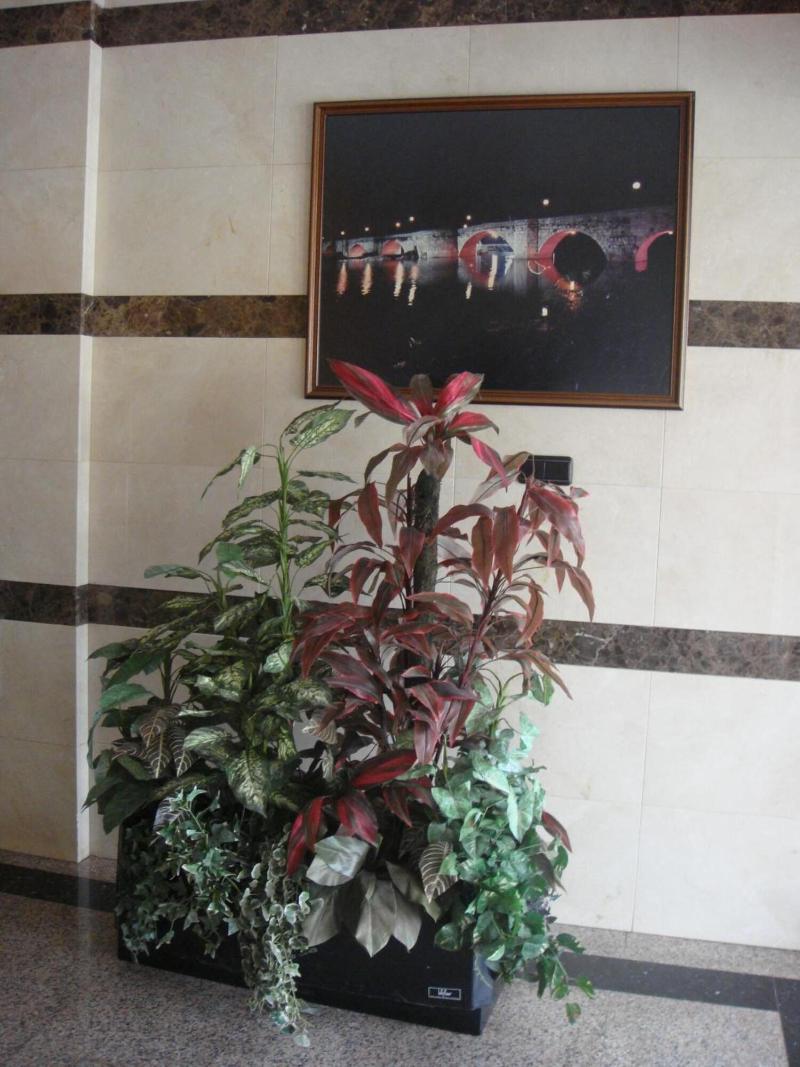 Hostal Serpol image
