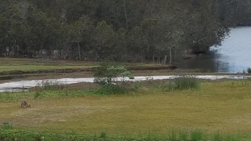 Tabourie Lake Motel image