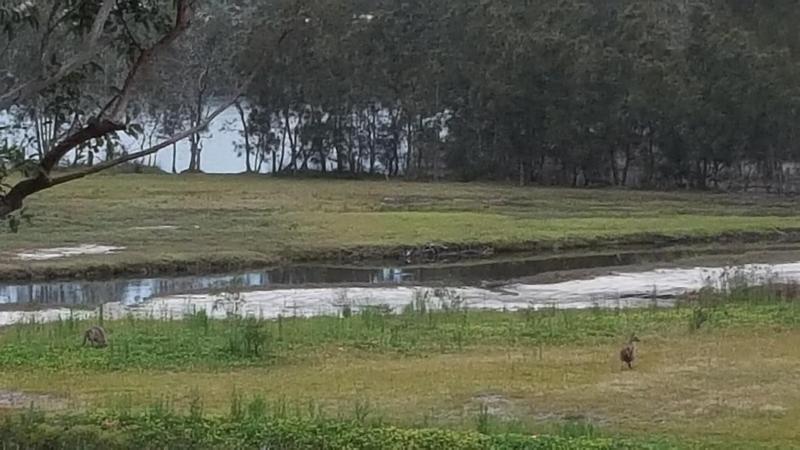 Tabourie Lake Motel image