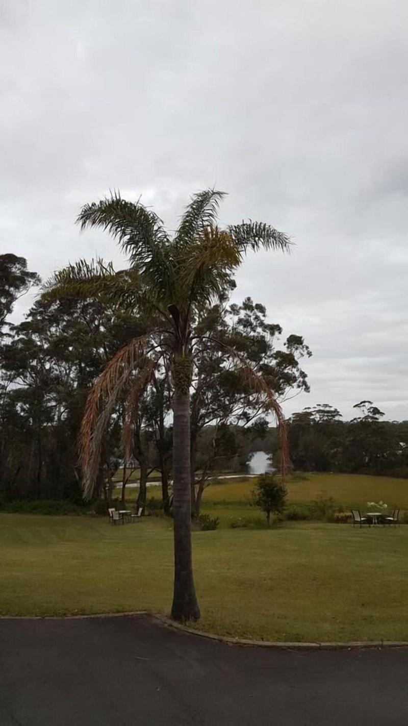 Tabourie Lake Motel image