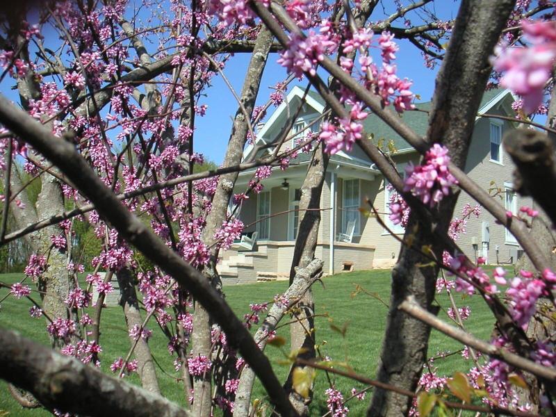 Wampler House — general view