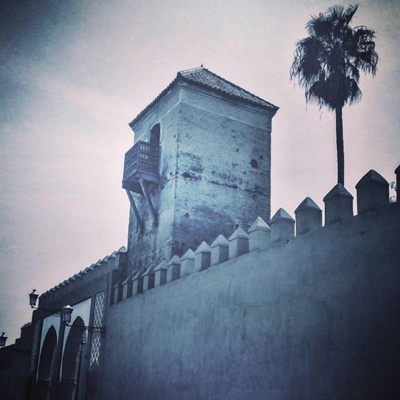Riad Ajebel image
