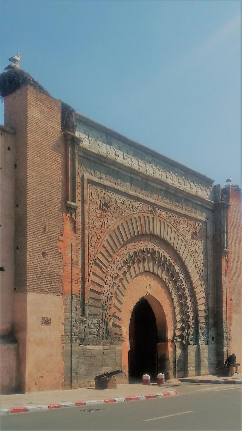 Riad Ajebel image