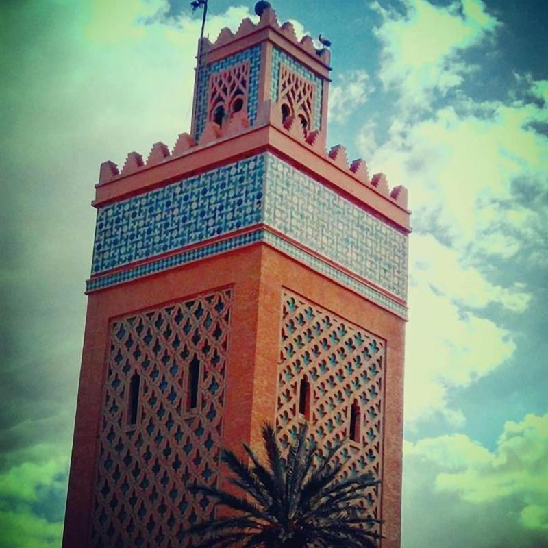 Riad Ajebel image