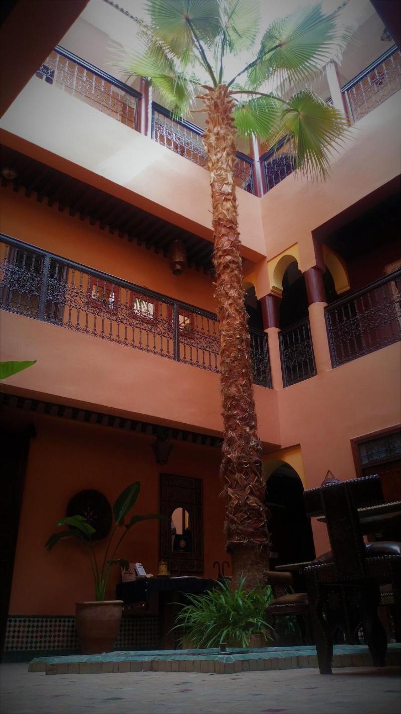 Riad Ajebel image