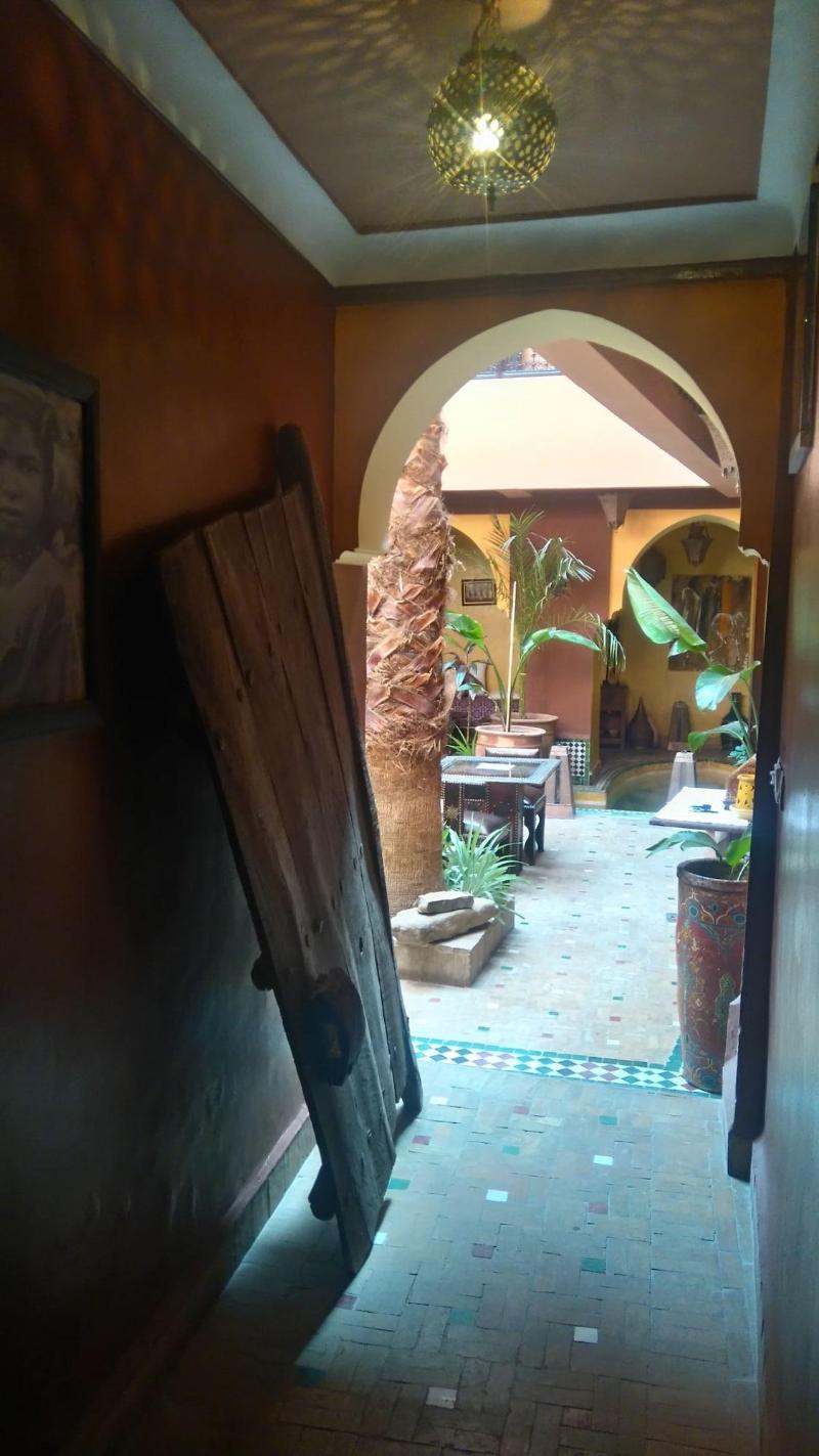 Riad Ajebel image