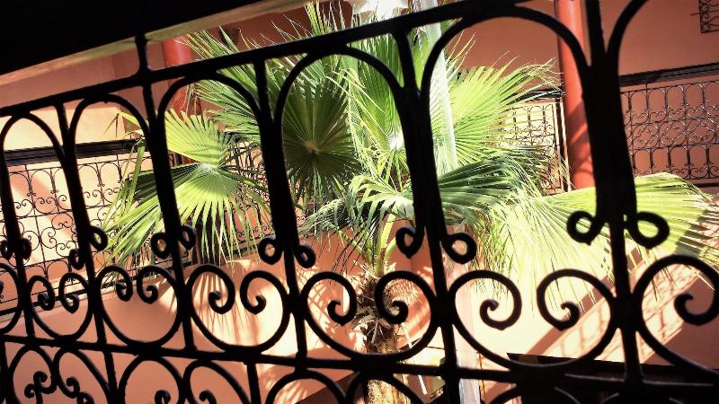 Riad Ajebel image
