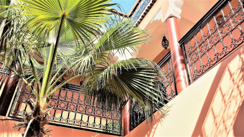 Riad Ajebel image