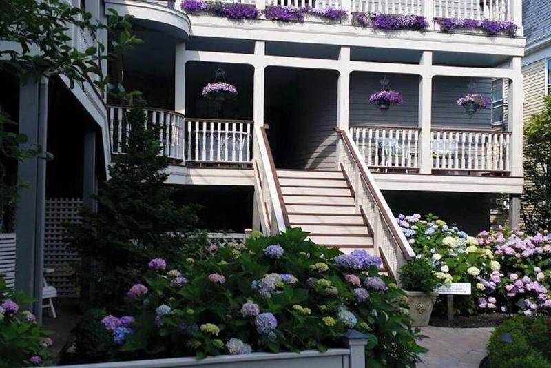 Hydrangea House image