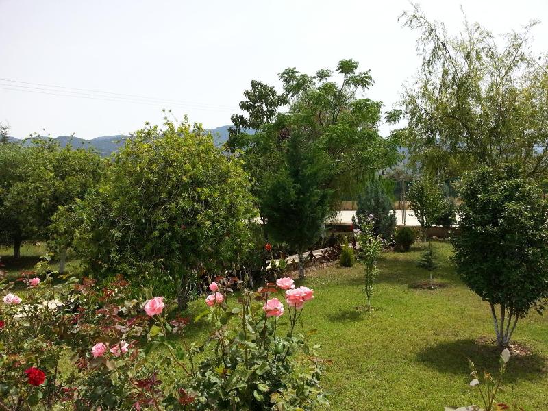 Melodi Club Hotel image