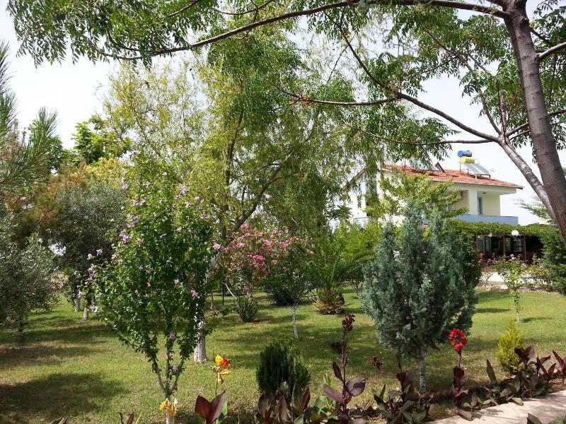 Melodi Club Hotel image