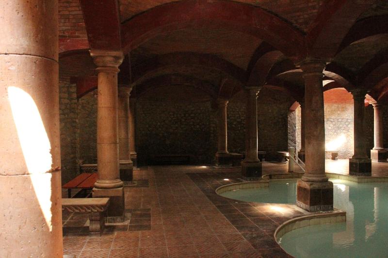 Termas De San Joaquin image