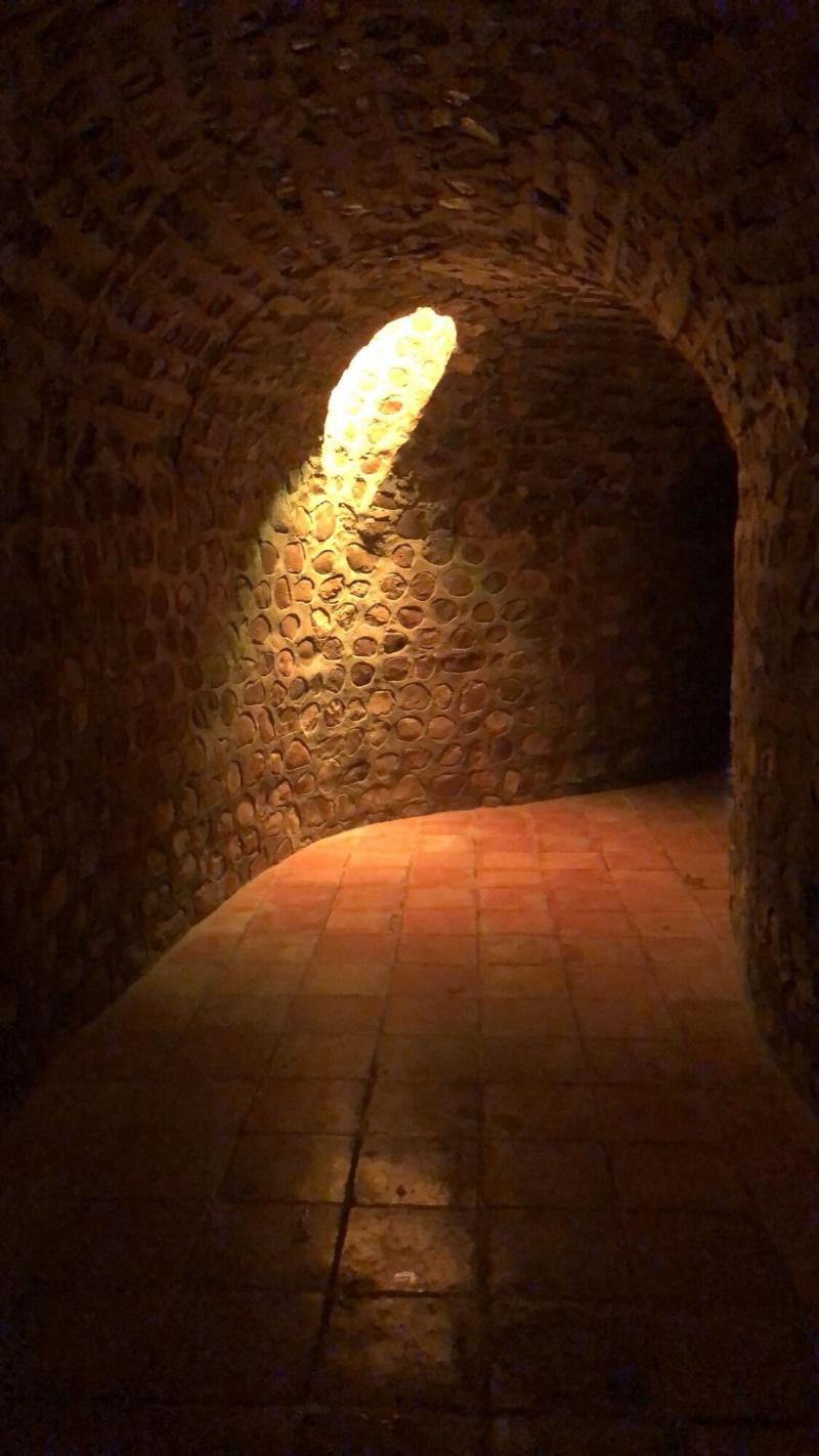 Termas De San Joaquin image