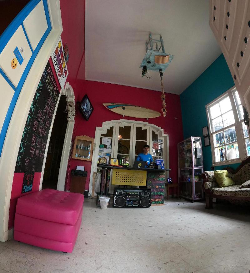 The Pelican Larry Hostel image