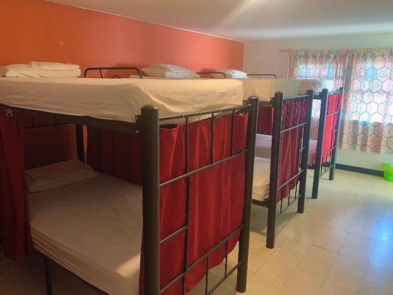 The Pelican Larry Hostel image