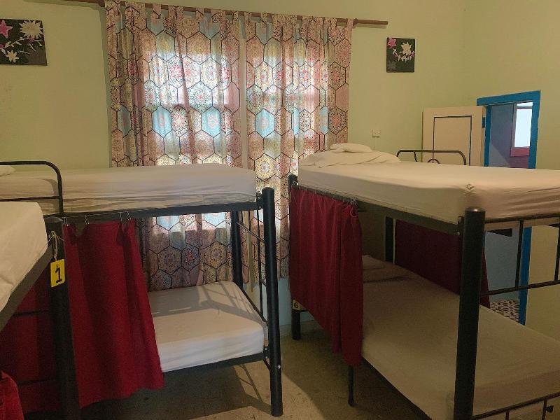 The Pelican Larry Hostel image