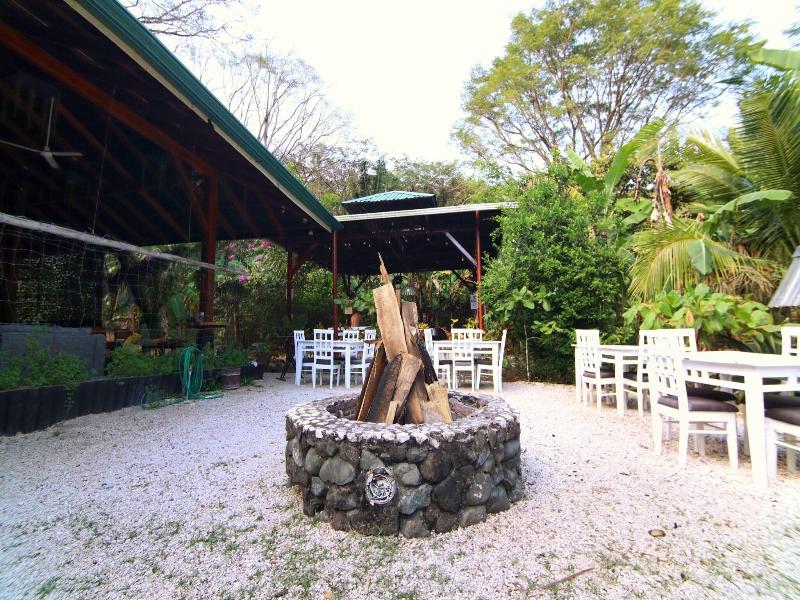 Jungles Edge image