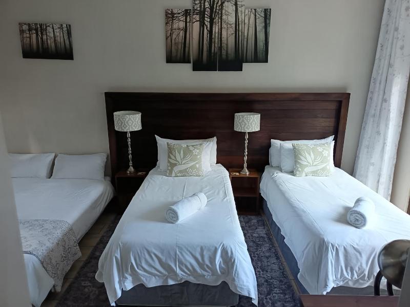 Three Olives Guesthouse image