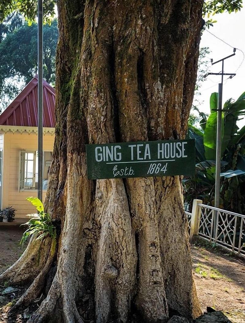 Ging Tea House — general view