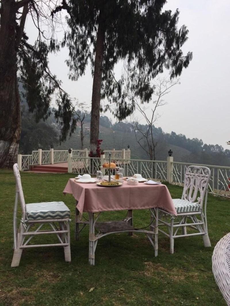 Ging Tea House image