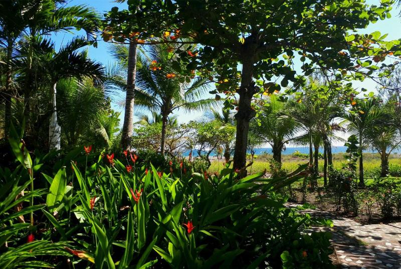 Las Olas Beach Resort image