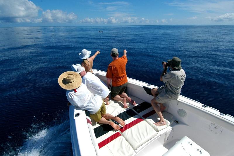 Las Olas Beach Resort image