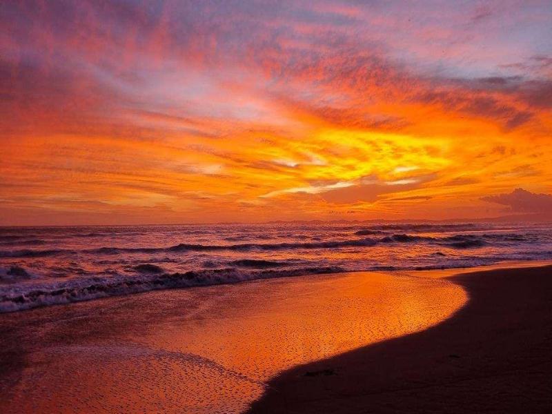 Las Olas Beach Resort image