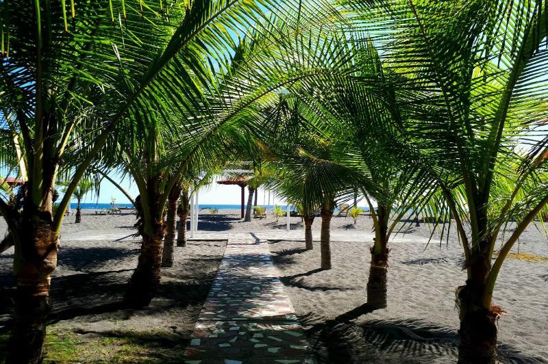 Las Olas Beach Resort image