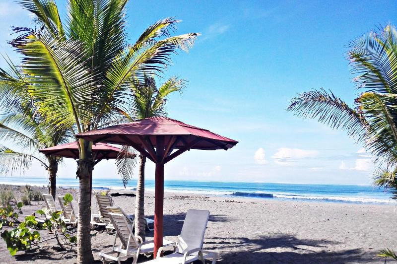 Las Olas Beach Resort image